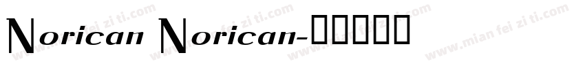 Norican Norican字体转换